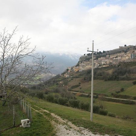 B&B La Collina Degli Ulivi Civitella Del Tronto Εξωτερικό φωτογραφία